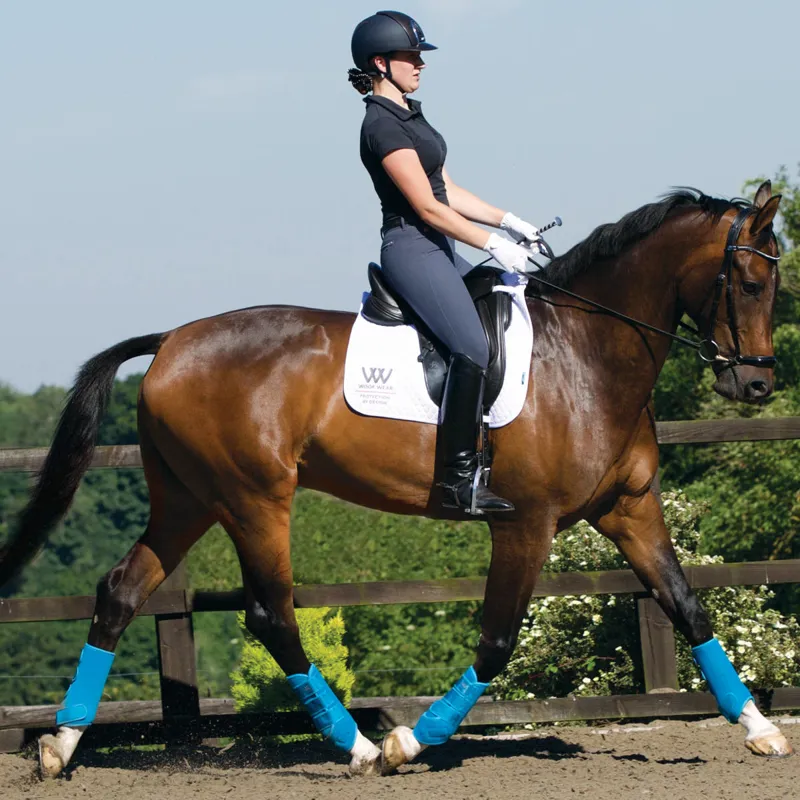 Woof wear riding trainers new arrivals