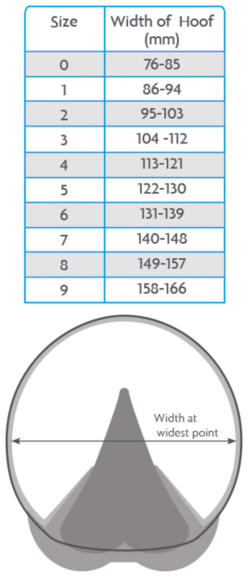 Woof Wear Medical Boot - Blue-4