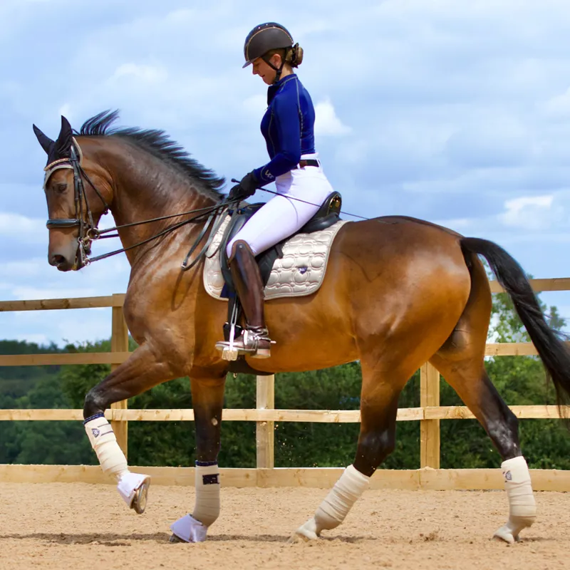 Woof Wear Vision Polo Bandages - Champagne-1