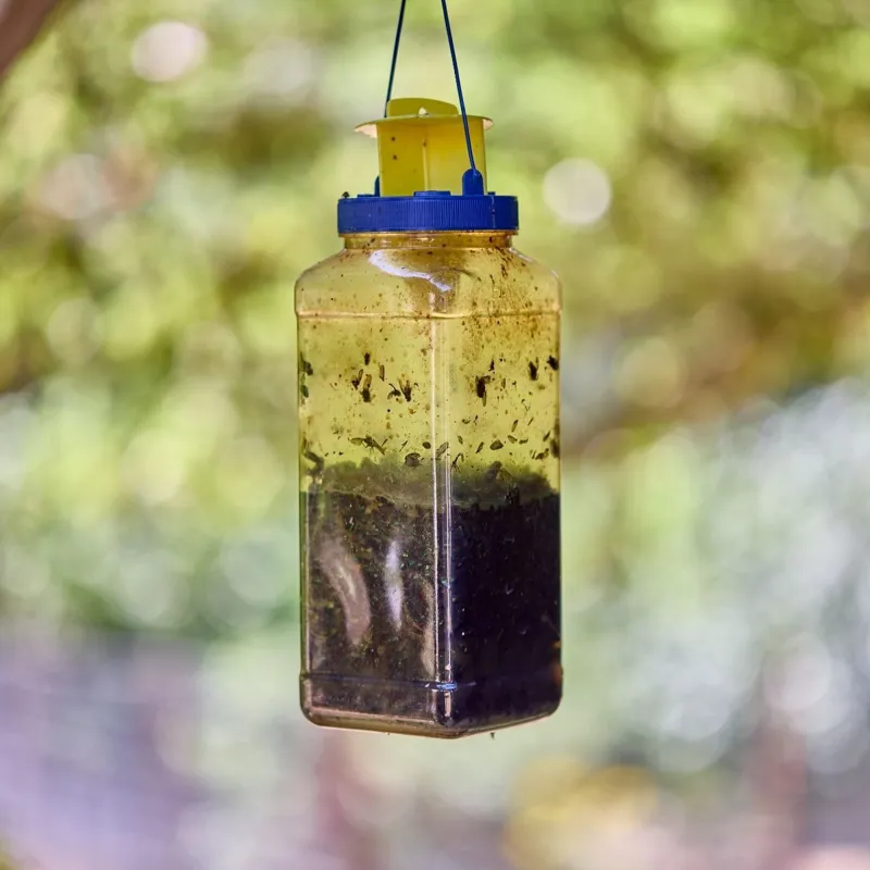 Zero In XL Outdoor Fly Catcher - Twinpack-2