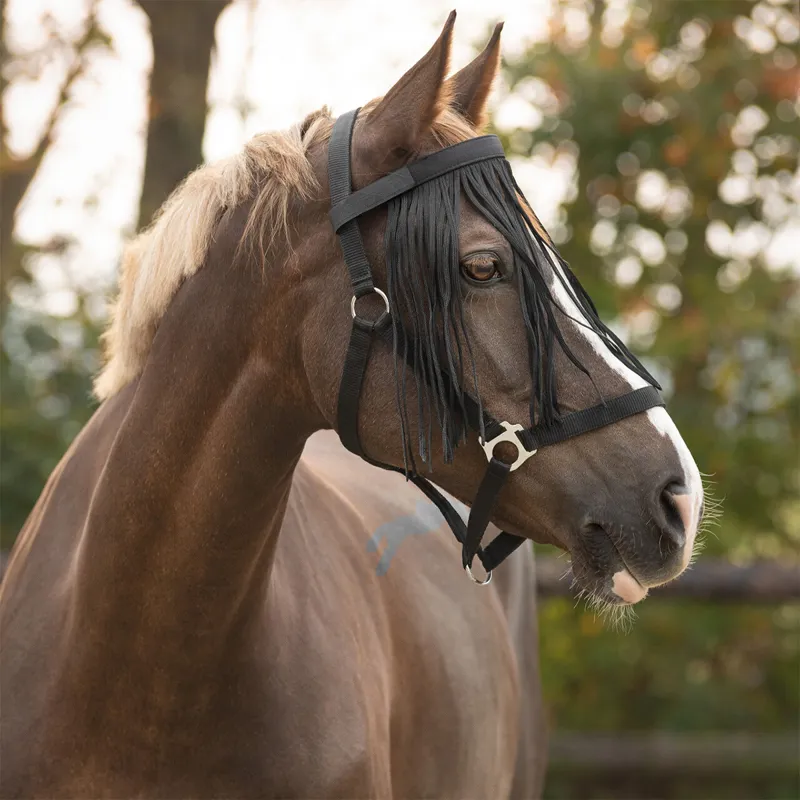 QHP Anti-Fly Fringe - Black-2