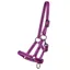 QHP Foal Collection Headcollar - Festival