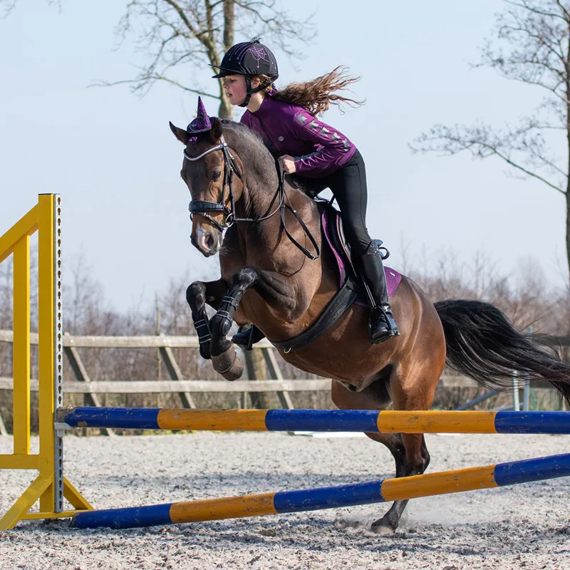 QHP Halloween Horse Bridle Witches Hat-3