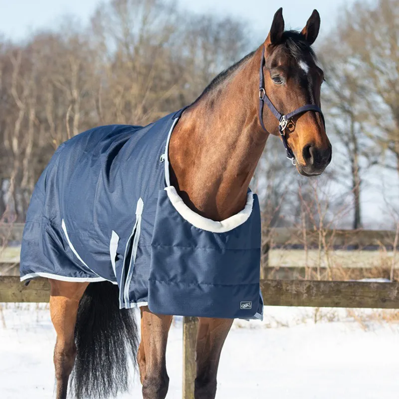 QHP Ontario Chest Protector - Navy-1