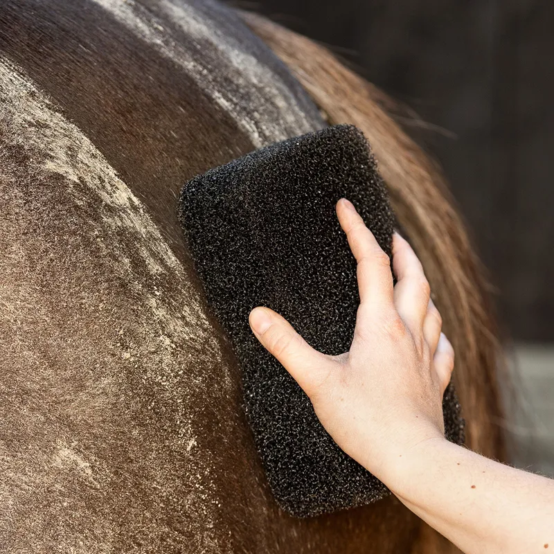 QHP Equi Super Shiner - Black-1