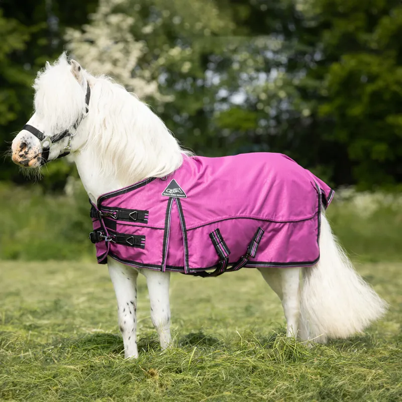 QHP Falabella 0g Turnout Rug - Festival