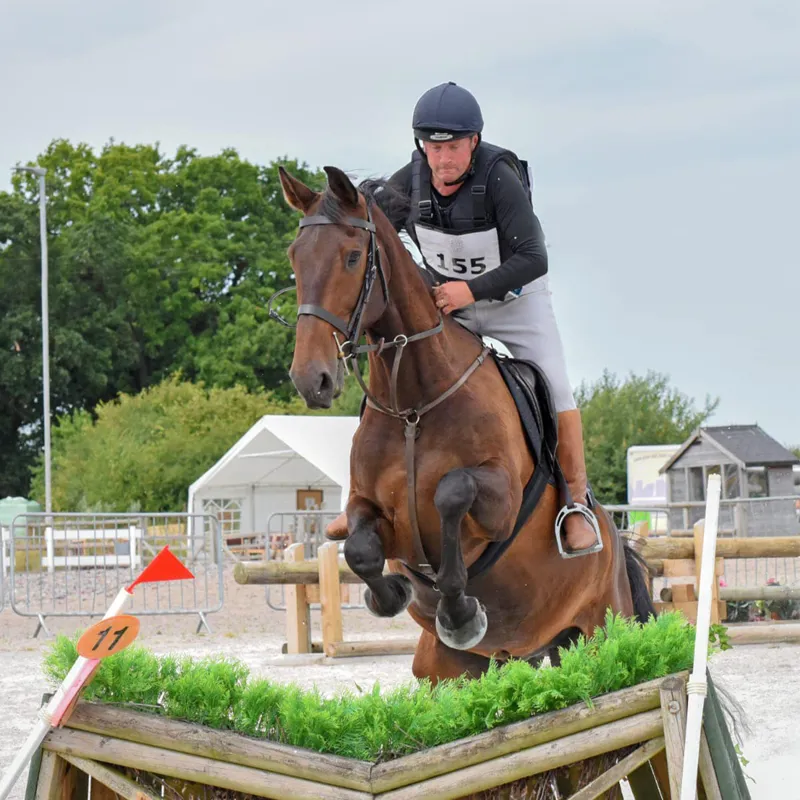 Radiance Gold Equine SarcSecret-2