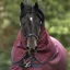 Rambo Original Lite 0g Turnout Hood - Burgundy/Teal/Navy