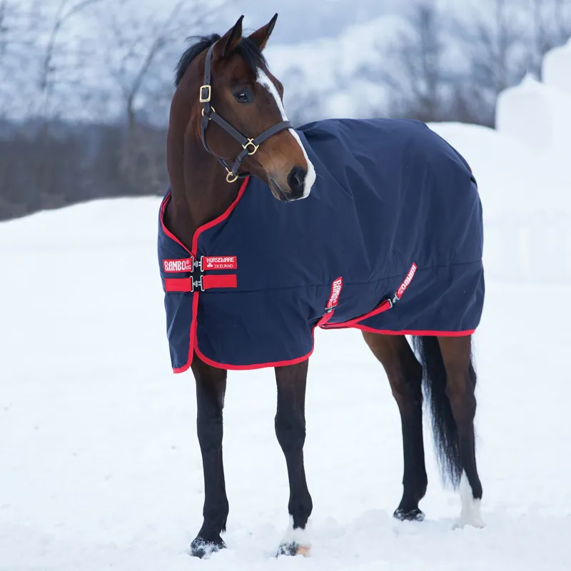 Rambo Original 200g Standard Neck Turnout Rug Navy/Red