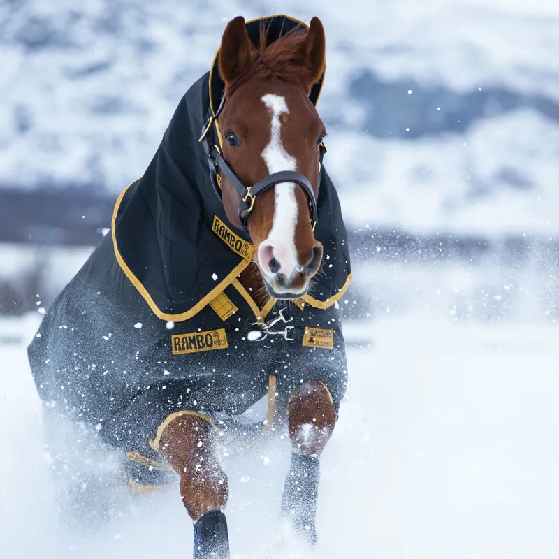 Rambo Supreme 420g Detachable Neck Turnout Rug - Black/Gold-1