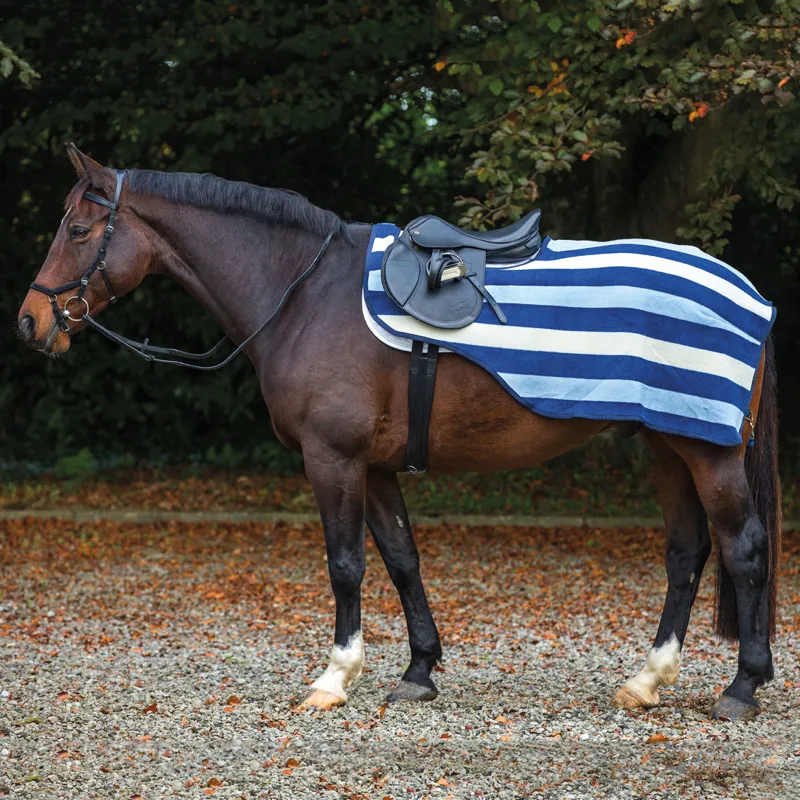 Rambo Exercise Rugs Horse Rugs Redpost Equestrian