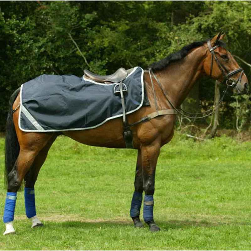 Rambo Competition Exercise Sheet - Navy/Silver