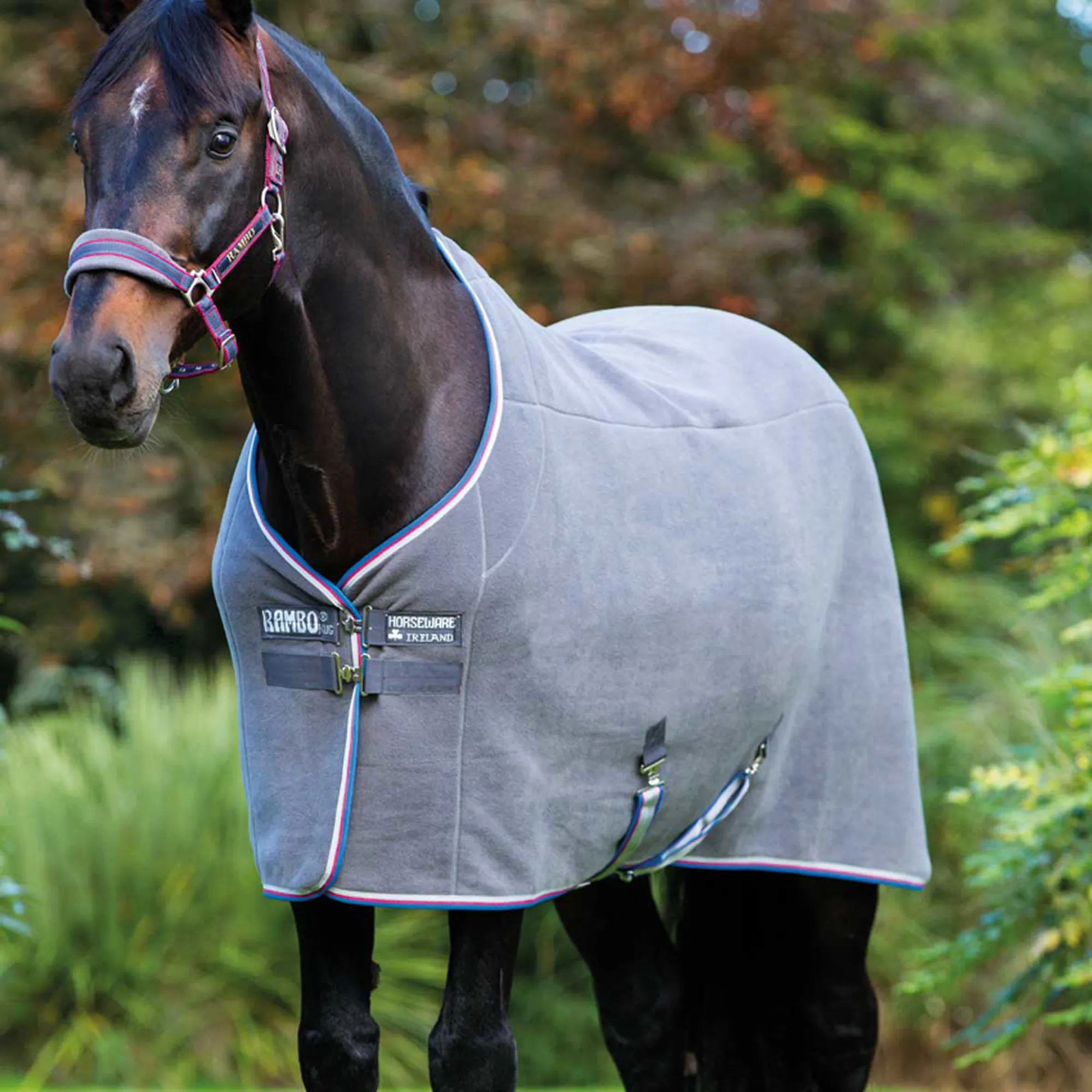 Horseware Newmarket Couverture polaire pour chien » Taille: XL, Couleur Horseware Newmarket Couverture polaire pour chien » Taille: XL, Couleur