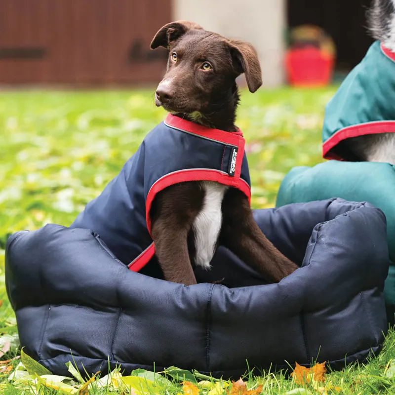 Rambo Dog Bed Navy Redpost Equestrian