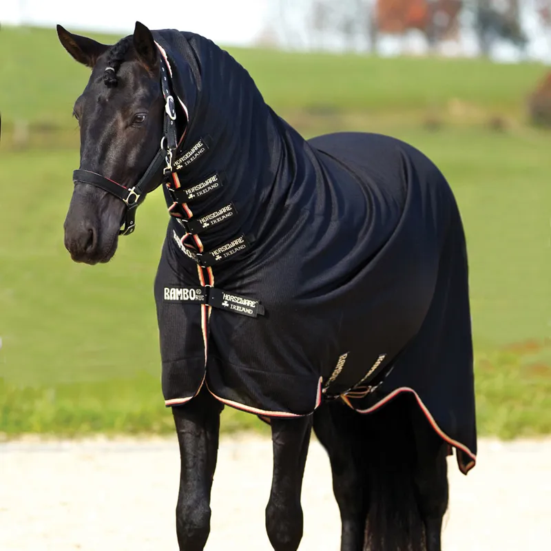 Rambo Dustbuster Combo Rug - Black/Tan/Orange