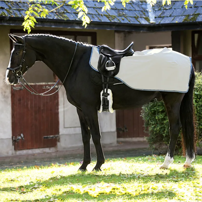 Rambo Reflective Night Rider Competition Exercise Sheet - Silver