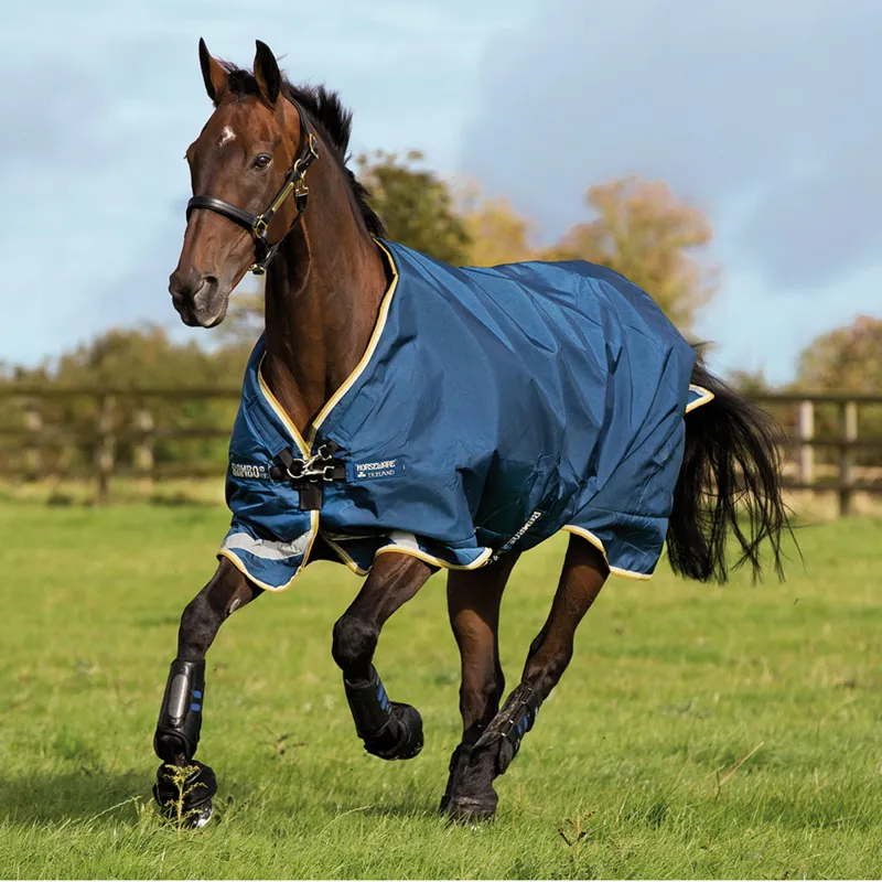 Rambo Original 100g Lite Turnout Rug with Leg Arches - Blue/Lime