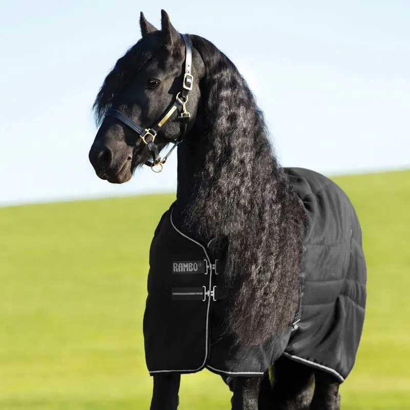 Rambo 100g Light Stable Rug - Black/Black/White