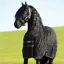 Rambo Medium Weight 400g Standard Neck Stable Rug - Black/Black/White