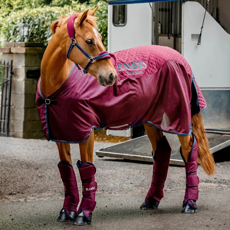 Rambo Travel Series Rug V1 - Burgundy/Teal