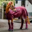 Rambo Travel Series Rug - Burgundy/Teal