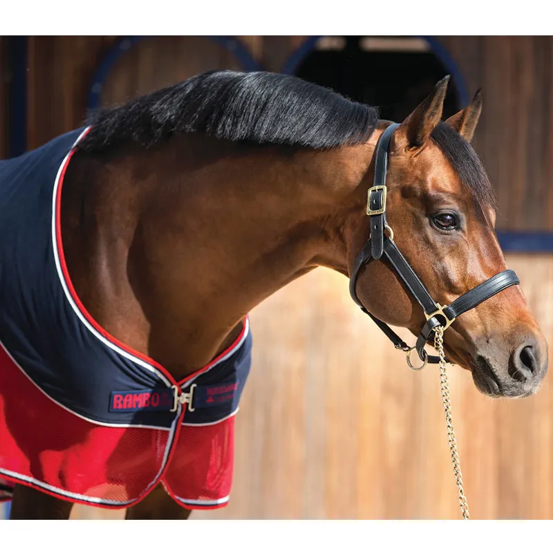 Rambo Sport Cooler with Navy/Red/Grey