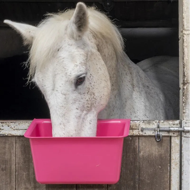 Red Gorilla Plas Hanging Manger - Pink-2