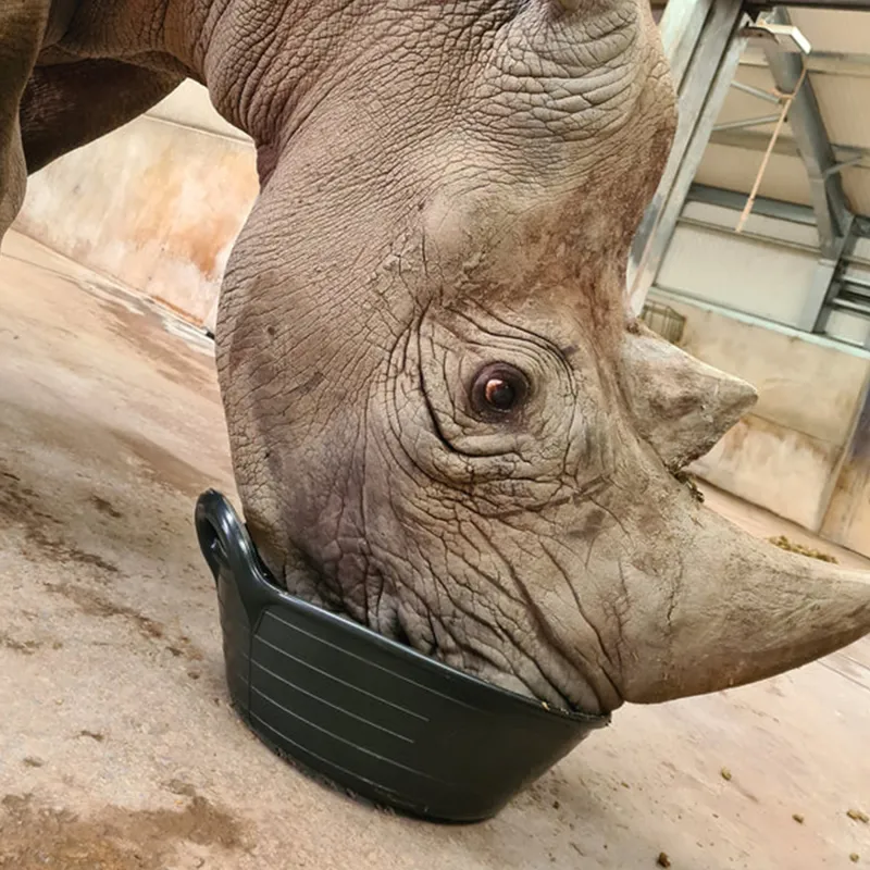 Red Gorilla Plas Small Skip 11L - Black-2