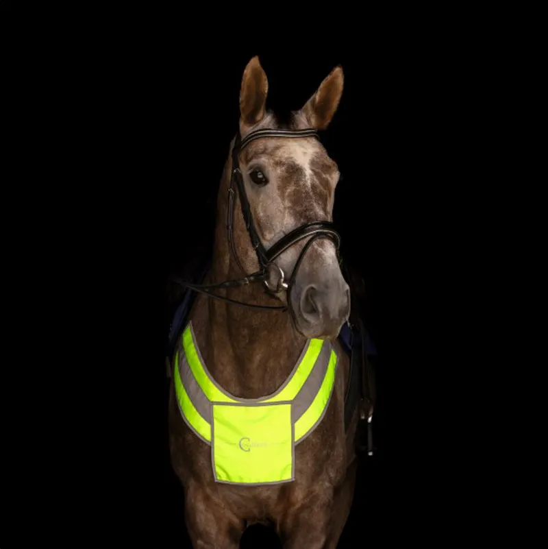 Covalliero Reflective Breastplate - Yellow-1