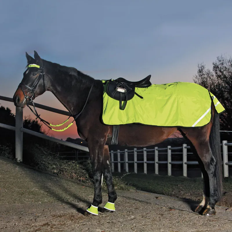 Reflex Exercise Hind Sheet - Neon Yellow
