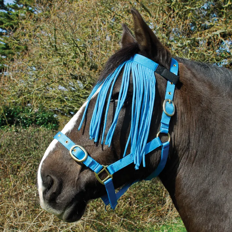 Rhinegold Fly Fringe - Turquoise