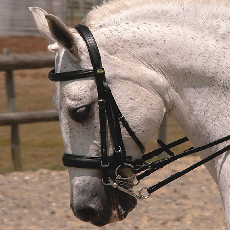 Rhinegold Leather Comfort Double Bridle with Reins - Black - Full