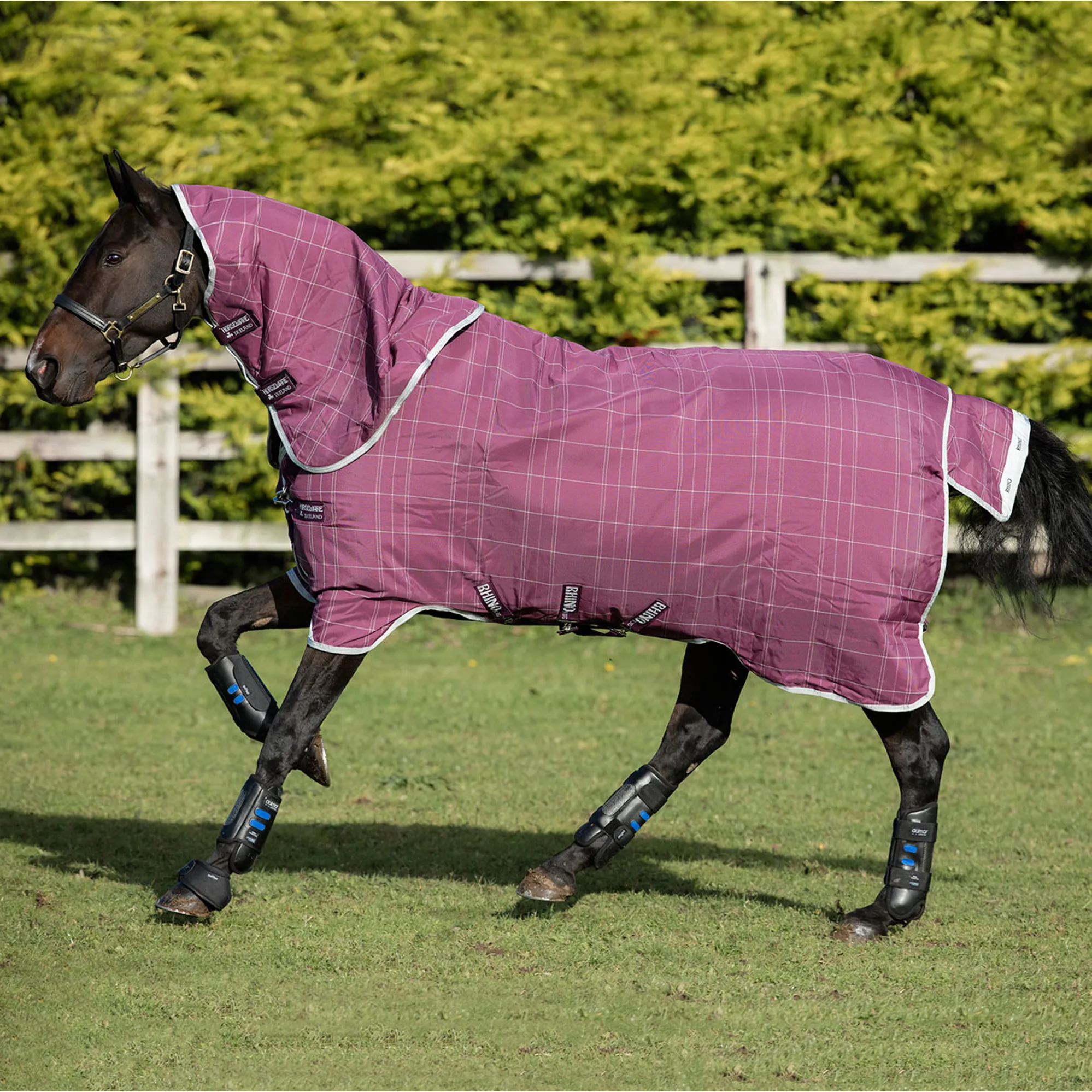 Rhino Rug Rhino Plus Lite 0g Turnout Rug - Berry/Grey/White Check