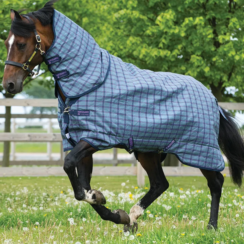 Rhino Plus Lite 0g Turnout Rug - Charcoal/Purple