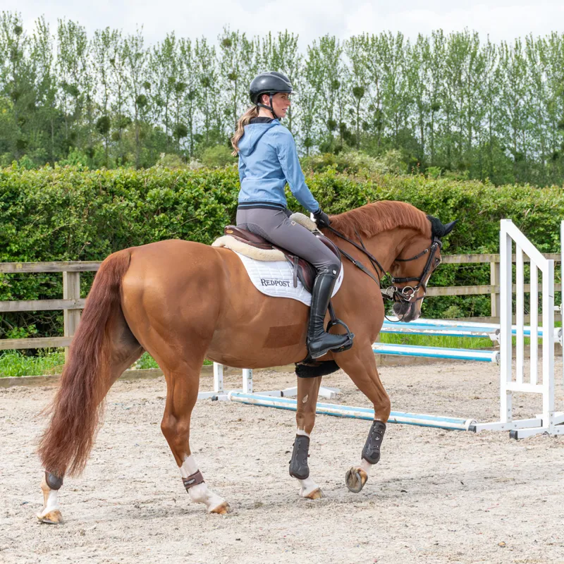 Riders Gene Softshell Ladies Jacket - Celeste-7