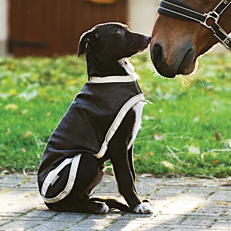 Horseware Rambo Waterproof Dog Coat with Liner Brown/Cream Redpost