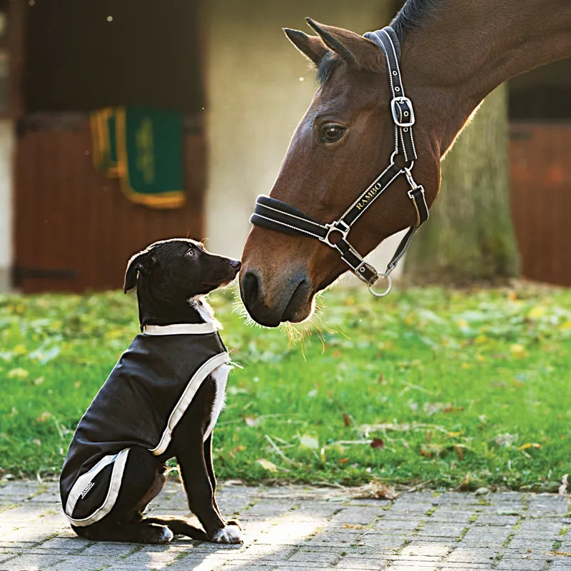 Horseware Rambo Waterproof Dog Coat with Liner Brown/Cream