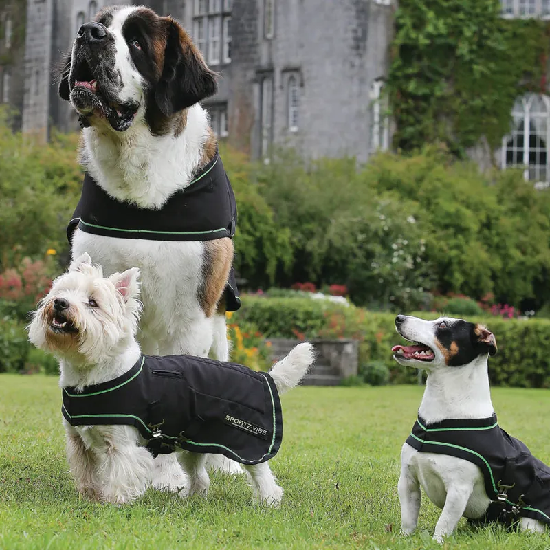 Horseware Sportz-Vibe Massage Dog Rug - Black-4
