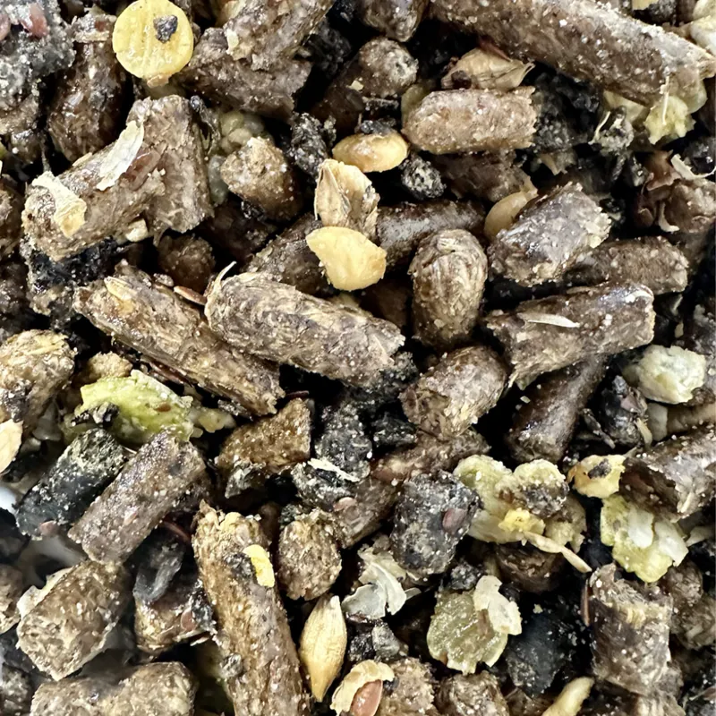 Saracen Veteran Balancer - 20kg-1