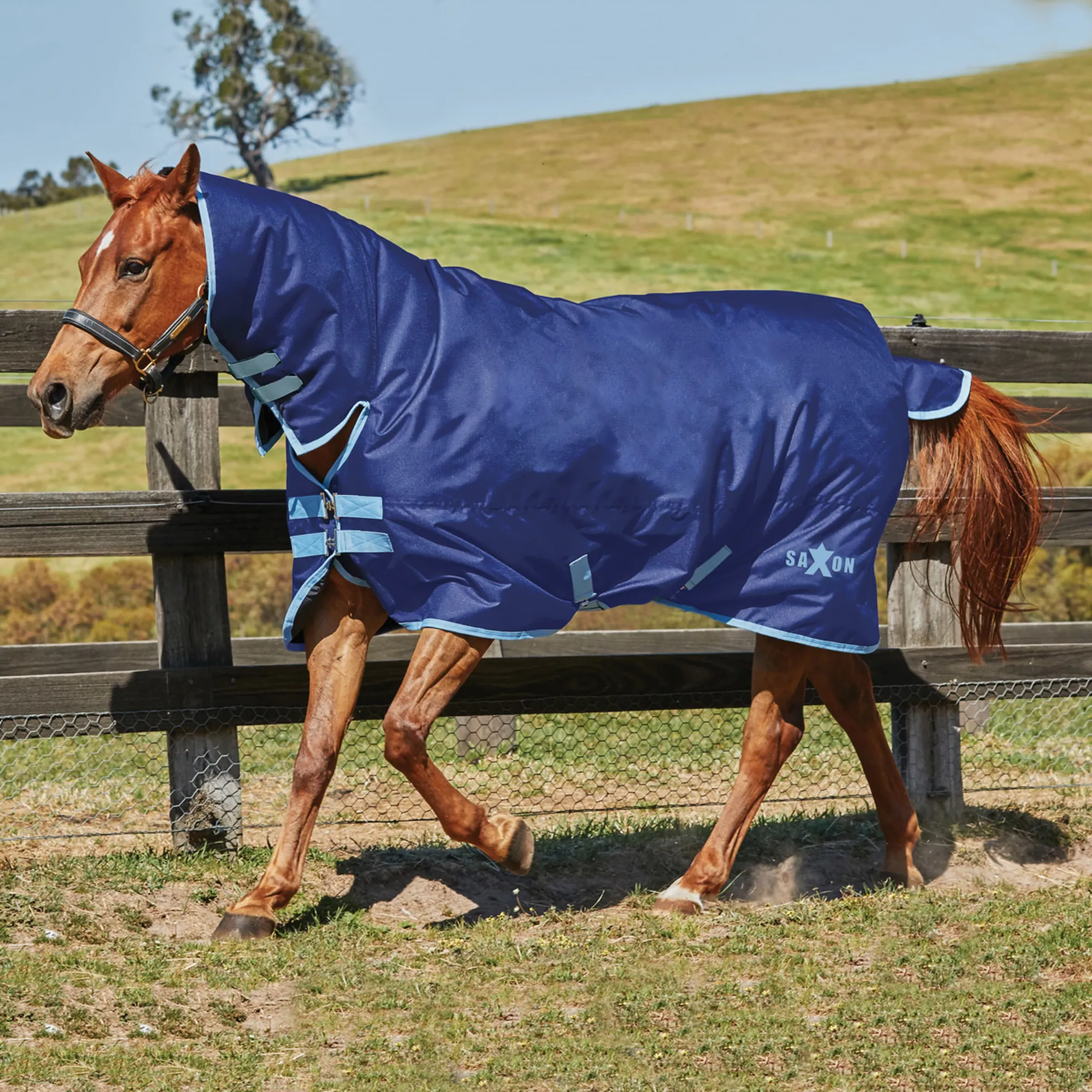 Saxon Defiant 600D Combo – Coperta Impermeabile Per Cavallo – Fodera In Poliare – 200g Di Imbottitura – Taglia Media, Blu Navy/Plaid (1,5m)