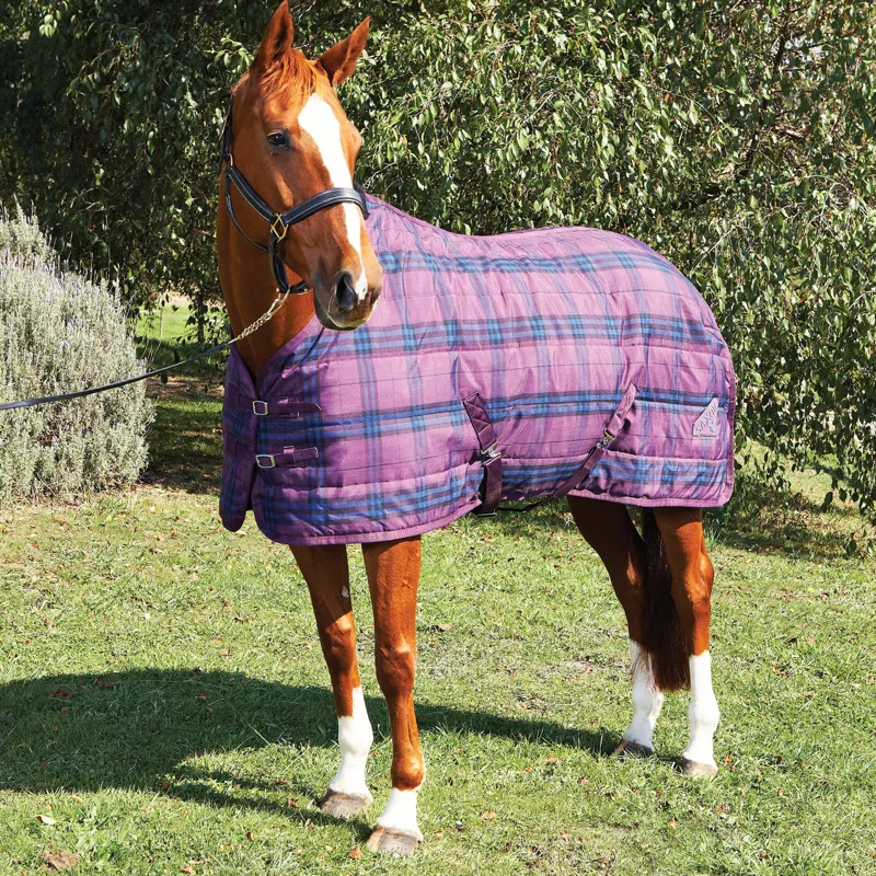 Saxon PP Medium Standard Neck Stable Rug 180g Blackberry/Navy Check 6ft3in