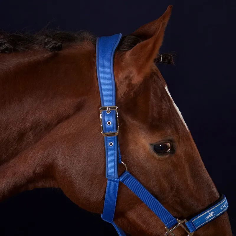 Schockemohle Memphis Anatomic Headcollar - Luxury Blue-1