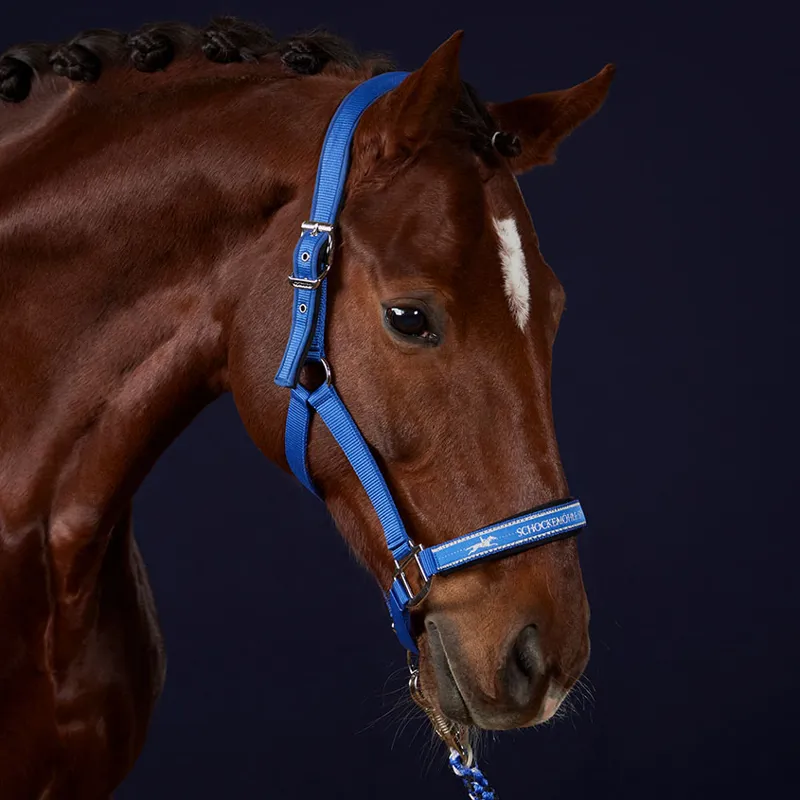 Schockemohle Memphis Anatomic Headcollar - Luxury Blue-2