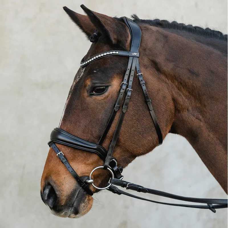 Schockemohle Brantford Anatomic Flash Bridle - Black/Silver-6