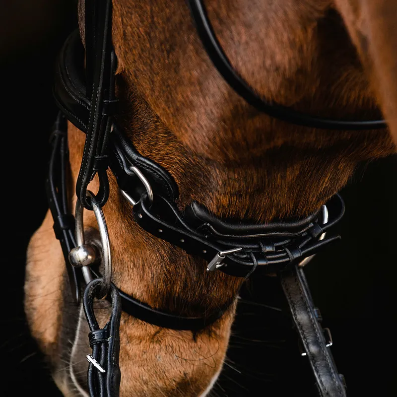 Schockemohle Brantford Anatomic Flash Bridle - Black/Silver-7