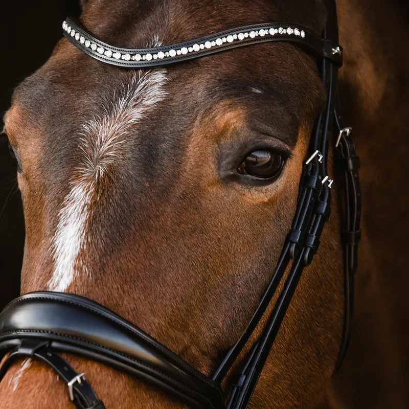 Schockemohle Brantford Anatomic Flash Bridle - Black/Silver-9