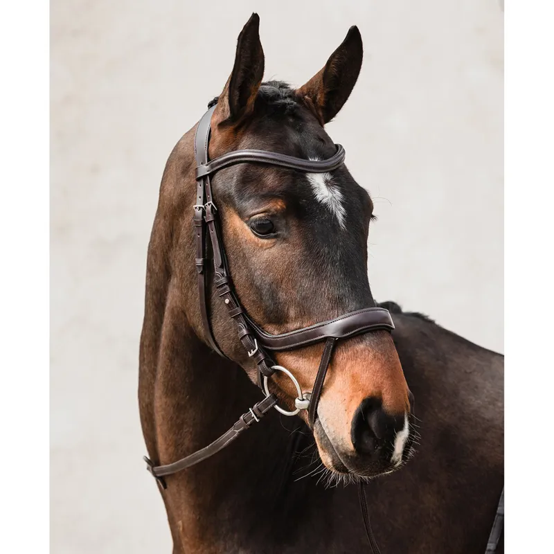 Schockemohle Equitus Alpha Anatomic Bridle - Espresso/Silver-1
