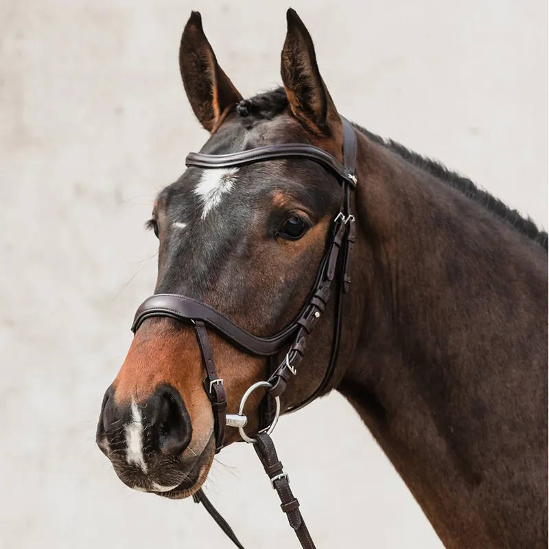 Schockemohle Equitus Alpha Anatomic Bridle - Espresso/Silver-2