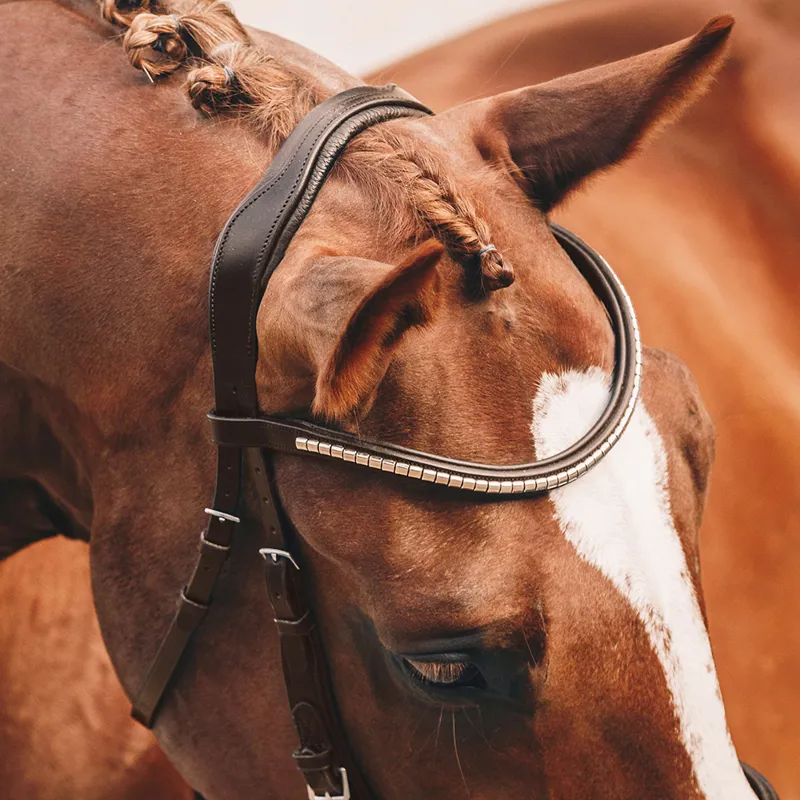 Schockemohle Equitus Omega Anatomic Bridle - Espresso/Silver-1