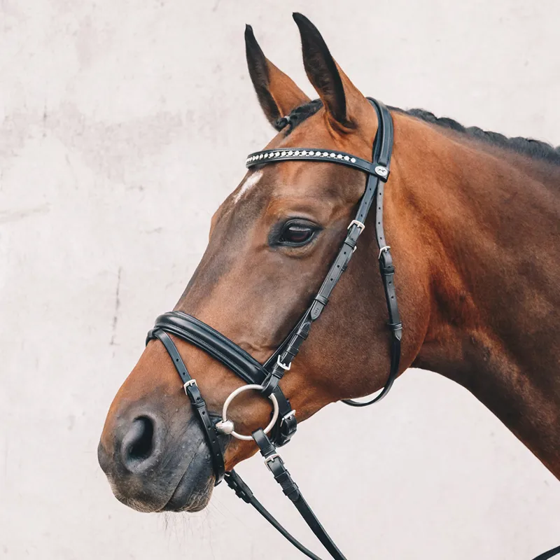 Schockemohle Neo Line Berlin Flash Bridle - Black/Silver-1